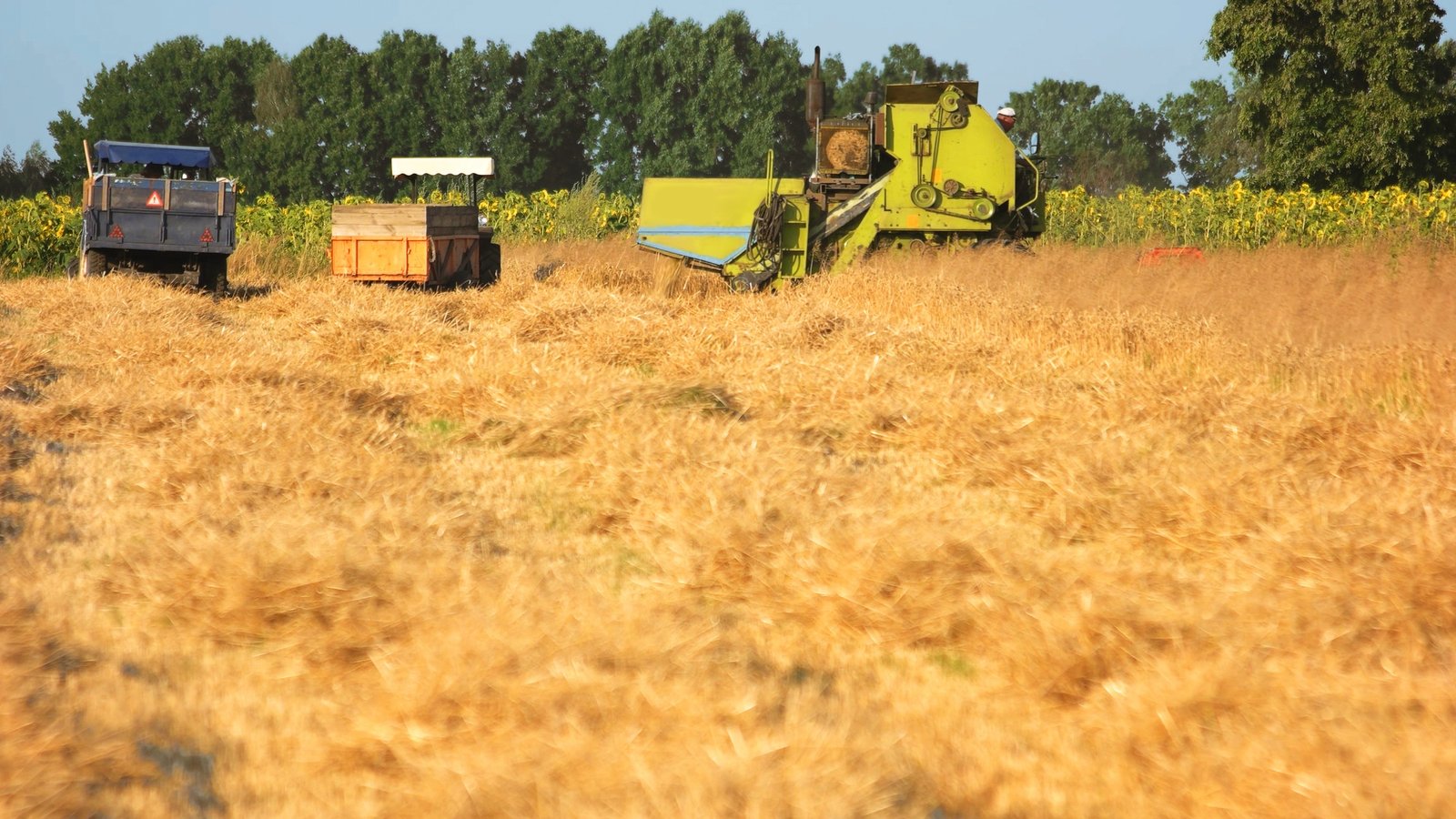 Agricultural machinery on the field.